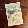 Lake Leelanau Narrows Postcard 10-Pack