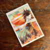 Pine Tree Sunset Postcard 10-Pack