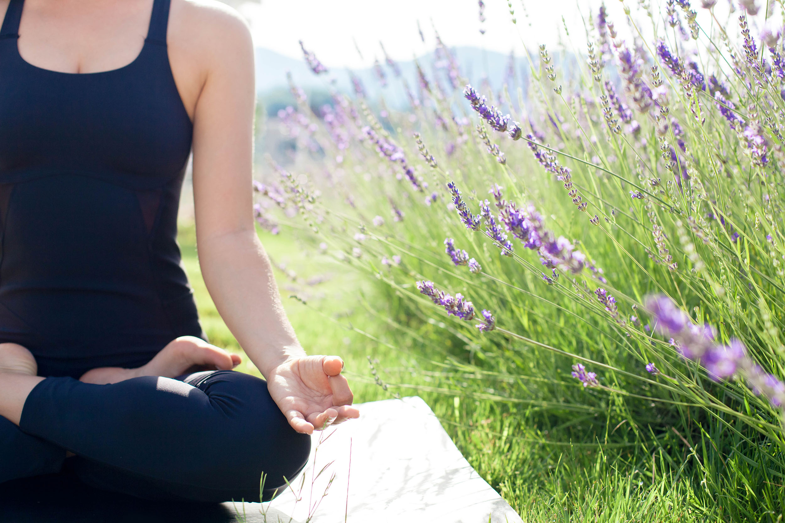 Woman is practicing yoga in lavender field. Showcasing the Blossom & Balance Experience