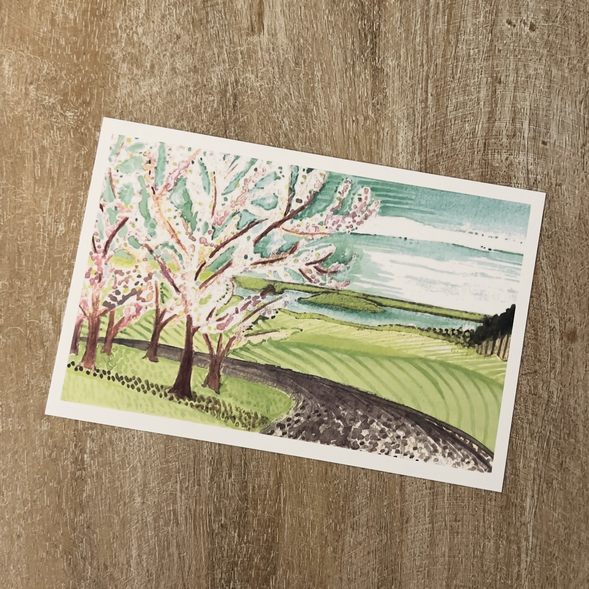 Spring View of Grand Traverse Bay Postcard