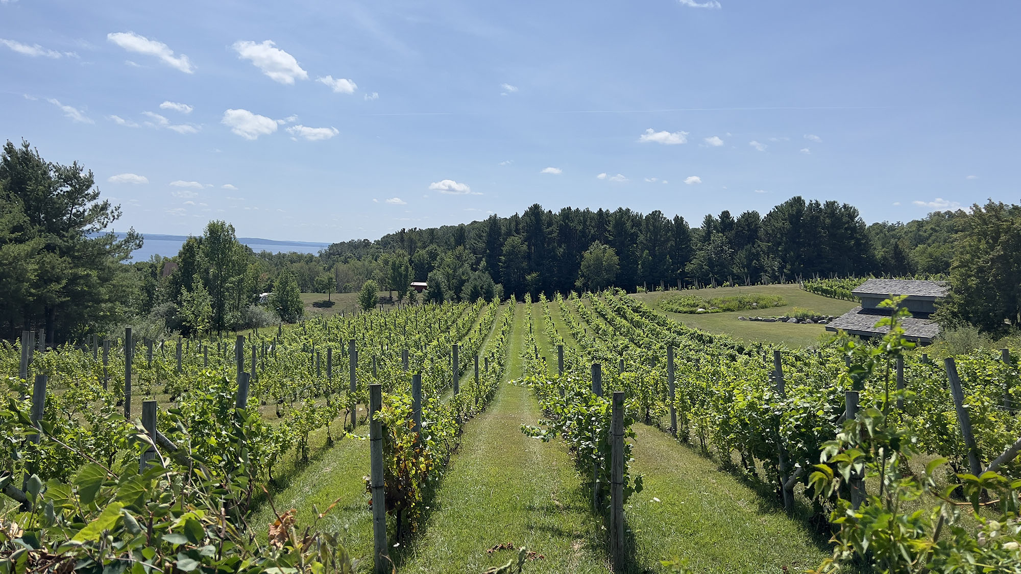 Northern Michigan Winery