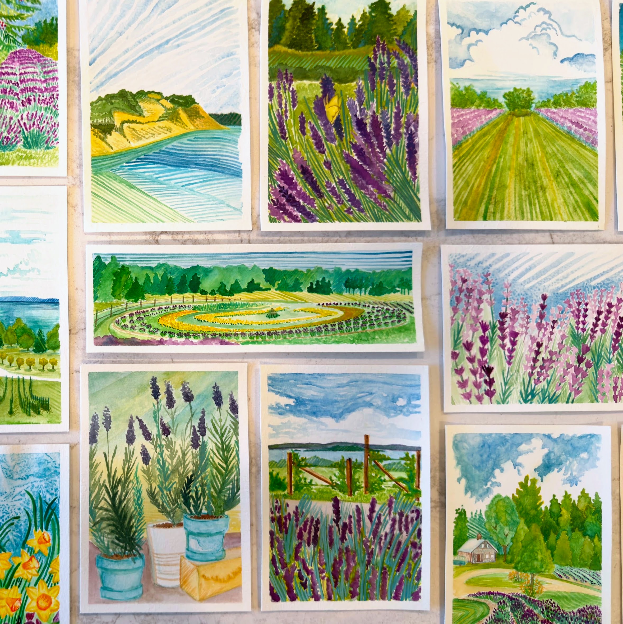 Lavender Postcards