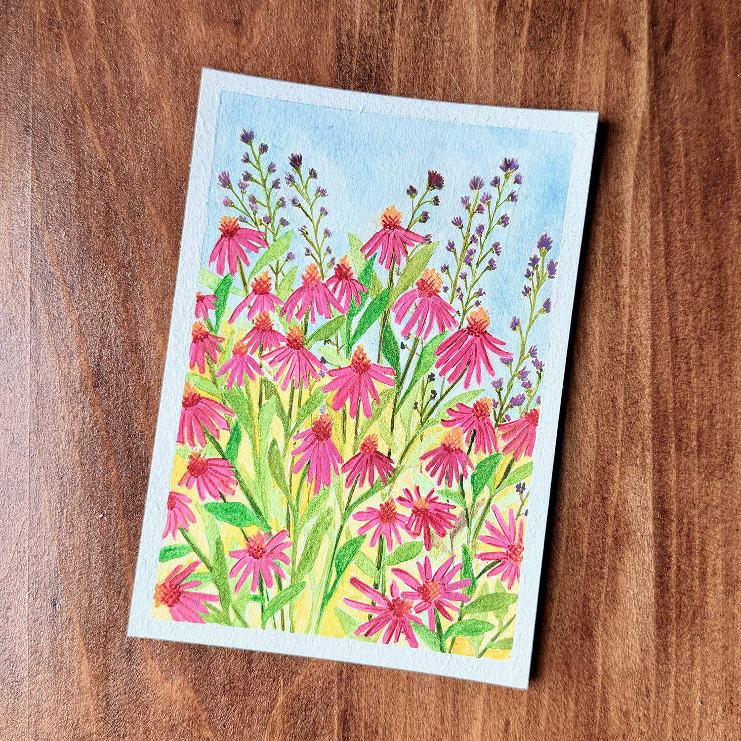 Coneflowers