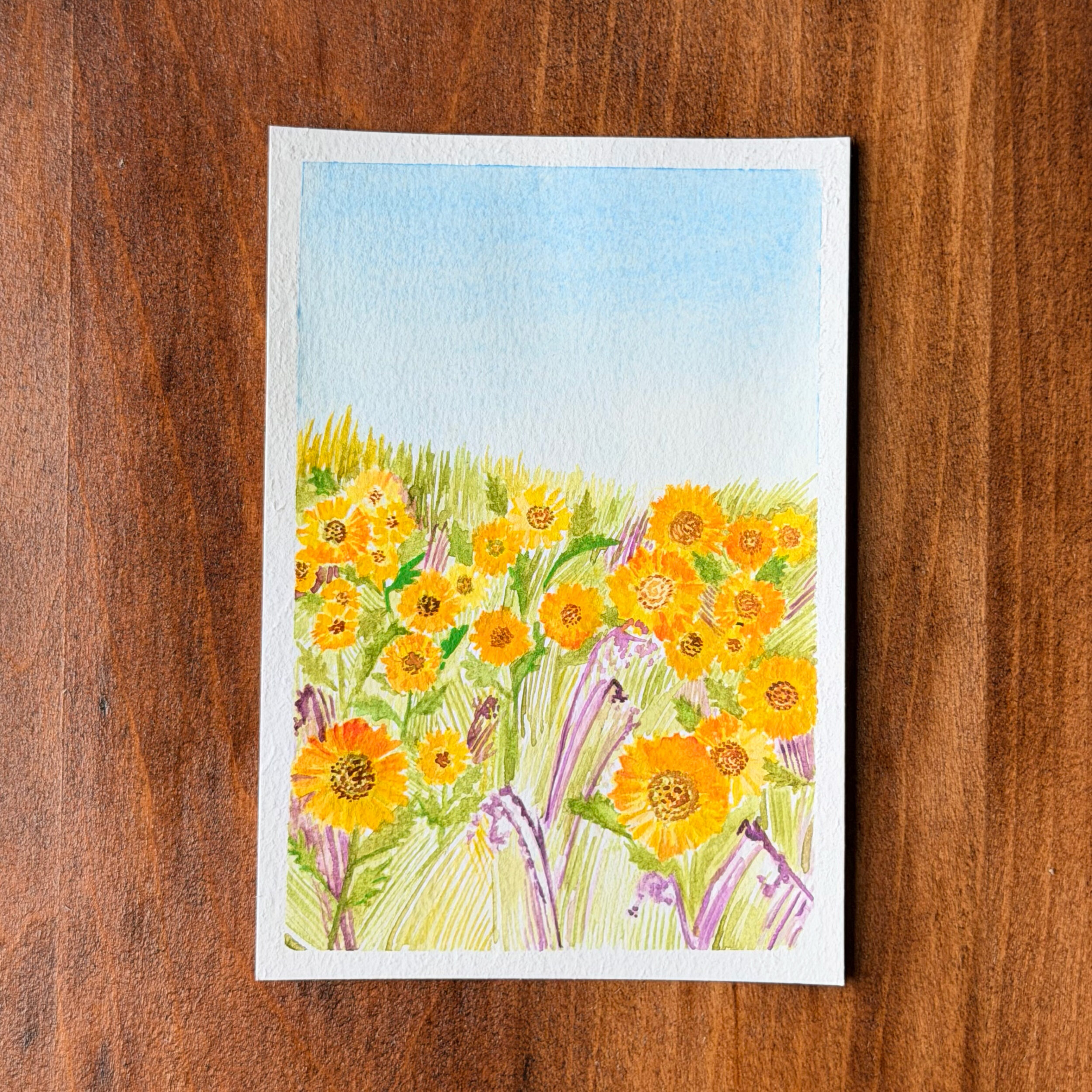 Sunflower Field